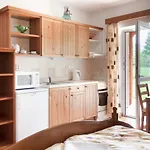 Planiska