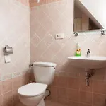Planiska 3*