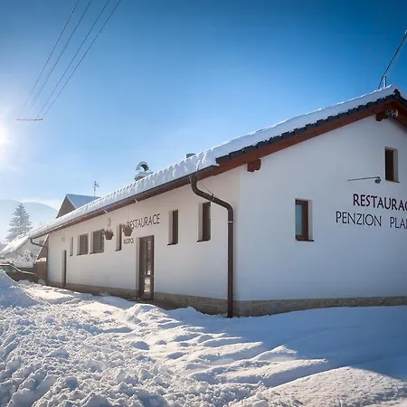 Pensjonat Planiska *