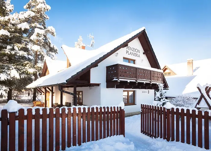Planiska Penzion 3*